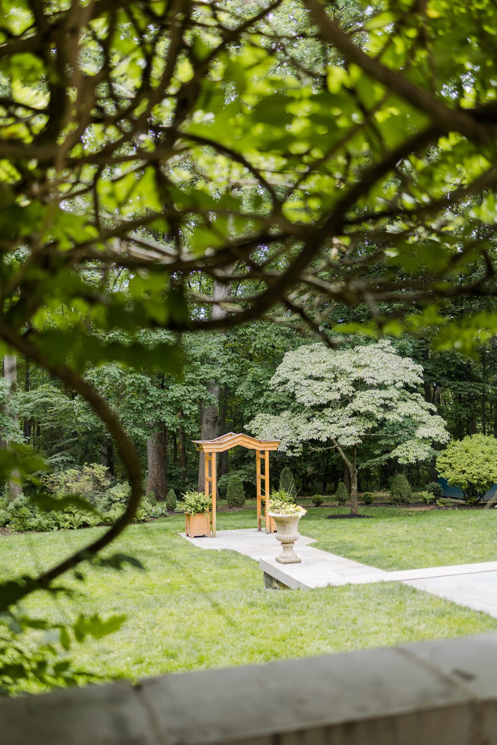 wisteria peeks through the camera and the ceremony space is surrounded by lush greens and wooden arbor